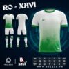Áo Đấu Bóng Đá Không Logo Màu Trắng Xanh Lá Xavi
